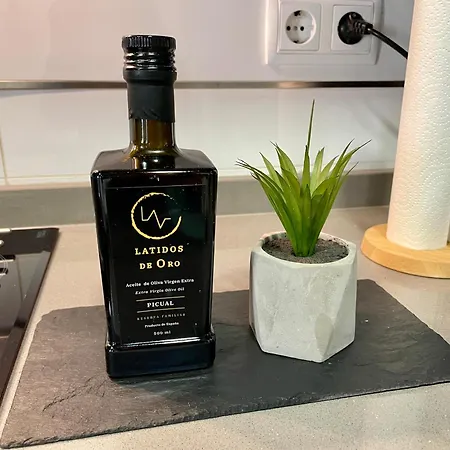 Apartamento El Patio De Toledo