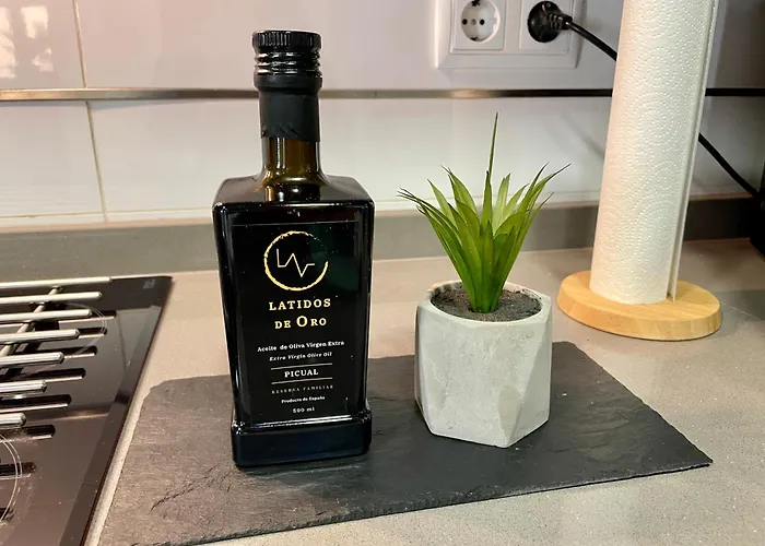 Apartment El Patio De Toledo